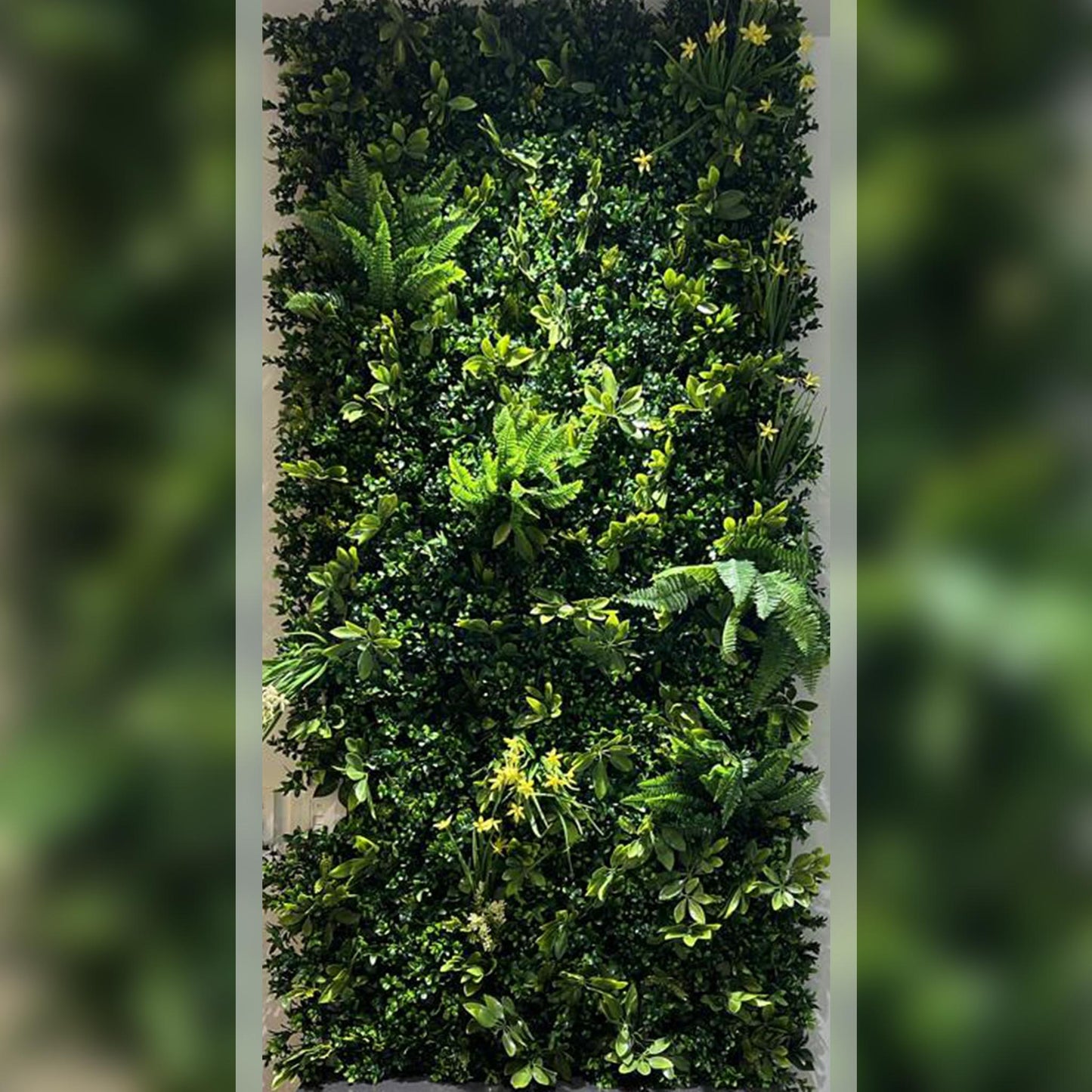 Premium quality greenwall in dubai