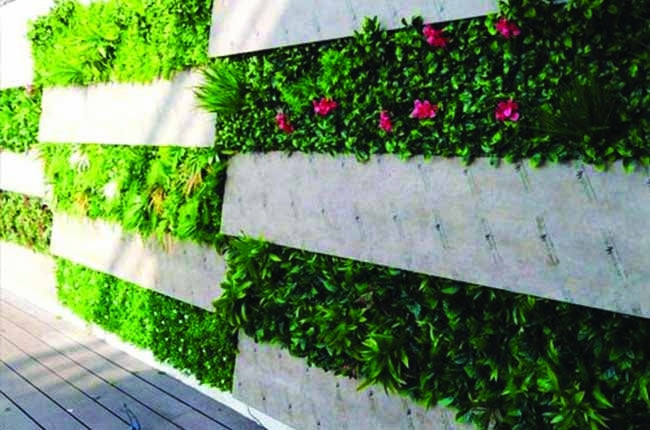 Preserved Moss Wall & Artificial Green wall, Wall Art Frames, Pets & Aquarium, Coir Products, Plant Pots, Dry Flower, Green wall, Foliage Wall, Flowers for every occasion, Landscape Designing, Dry Flower, Coir Products, Plant Pots, Flower Delivery in Dubai, UAE. Flower bouquets, Indoor & Outdoor Plants, succulents