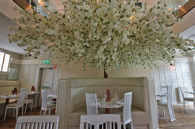 Preserved Moss Wall & Artificial Green wall, Wall Art Frames, Pets & Aquarium, Coir Products, Plant Pots, Dry Flower, Green wall, Foliage Wall, Flowers for every occasion, Landscape Designing, Dry Flower, Coir Products,Plant Pots, Flower Delivery in Dubai, UAE. Flower bouquets, Indoor & Outdoor Plants, succulents Dubai