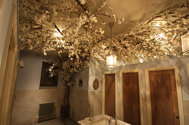 Preserved Moss Wall & Artificial Green wall, Wall Art Frames, Pets & Aquarium, Coir Products, Plant Pots, Dry Flower, Green wall, Foliage Wall, Flowers for every occasion, Landscape Designing, Dry Flower, Coir Products,Plant Pots, Flower Delivery in Dubai, UAE. Flower bouquets, Indoor & Outdoor Plants, succulents Dubai