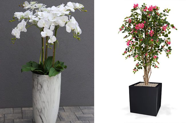 Preserved Moss Wall & Artificial Green wall, Wall Art Frames, Pets & Aquarium, Coir Products, Plant Pots, Dry Flower, Green wall, Foliage Wall, Flowers for every occasion, Landscape Designing, Dry Flower, Coir Products,Plant Pots, Flower Delivery in Dubai, UAE. Flower bouquets, Indoor & Outdoor Plants, succulents Dubai