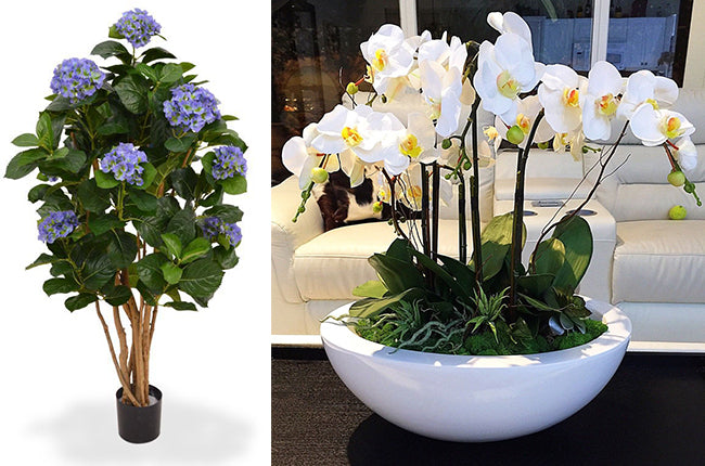 Preserved Moss Wall & Artificial Green wall, Wall Art Frames, Pets & Aquarium, Coir Products, Plant Pots, Dry Flower, Green wall, Foliage Wall, Flowers for every occasion, Landscape Designing, Dry Flower, Coir Products,Plant Pots, Flower Delivery in Dubai, UAE. Flower bouquets, Indoor & Outdoor Plants, succulents Dubai