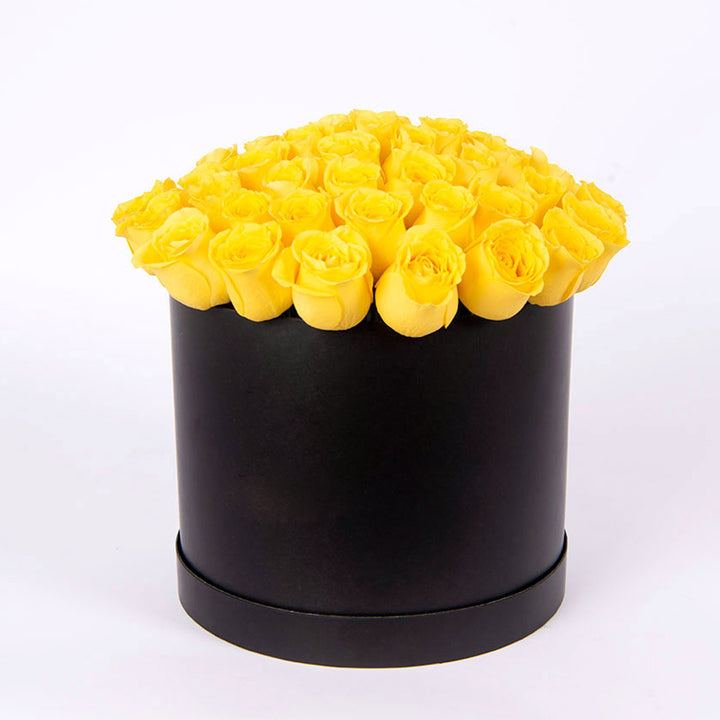 Fresh Flower Delivery in Dubai, UAE. Indoor & Outdoor Plants, Artificial Flowers, Plants & Trees, Succulent, Terrariums & Supplies, Gardening & Plantation, Moss wall, Green wall, Foliage Wall, Flowers for every occasion, Landscape Designing, Dry Flower, Coir Products, Plant Pots, Pets (Birds and Fishes) Aquarium, More.