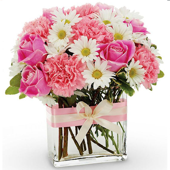 Fresh Flower Delivery in Dubai, UAE. Indoor & Outdoor Plants, Artificial Flowers, Plants & Trees, Succulent, Terrariums & Supplies, Gardening & Plantation, Moss wall, Green wall, Foliage Wall, Flowers for every occasion, Landscape Designing, Dry Flower, Coir Products, Plant Pots, Pets (Birds and Fishes) Aquarium, More.