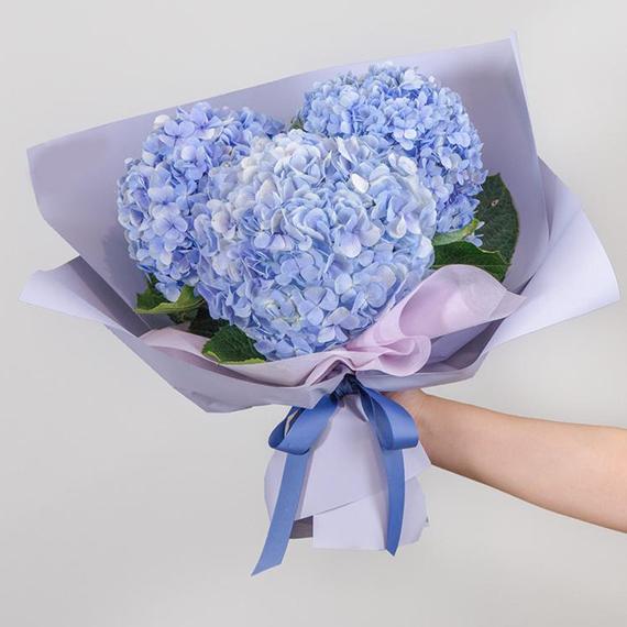 Fresh Flower Delivery in Dubai, UAE. Indoor & Outdoor Plants, Artificial Flowers, Plants & Trees, Succulent, Terrariums & Supplies, Gardening & Plantation, Moss wall, Green wall, Foliage Wall, Flowers for every occasion, Landscape Designing, Dry Flower, Coir Products, Plant Pots, Pets & Aquarium, More.