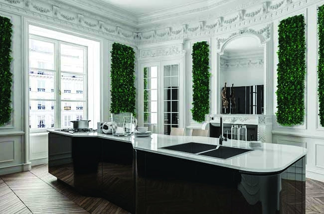 Preserved Moss Wall & Artificial Green wall, Wall Art Frames, Pets & Aquarium, Coir Products, Plant Pots, Dry Flower, Green wall, Foliage Wall, Flowers for every occasion, Landscape Designing, Dry Flower, Coir Products,Plant Pots, Flower Delivery in Dubai, UAE. Flower bouquets, Indoor & Outdoor Plants, succulents Dubai