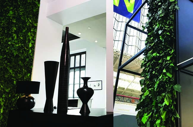 Preserved Moss Wall & Artificial Green wall, Wall Art Frames, Pets & Aquarium, Coir Products, Plant Pots, Dry Flower, Green wall, Foliage Wall, Flowers for every occasion, Landscape Designing, Dry Flower, Coir Products,Plant Pots, Flower Delivery in Dubai, UAE. Flower bouquets, Indoor & Outdoor Plants, succulents Dubai