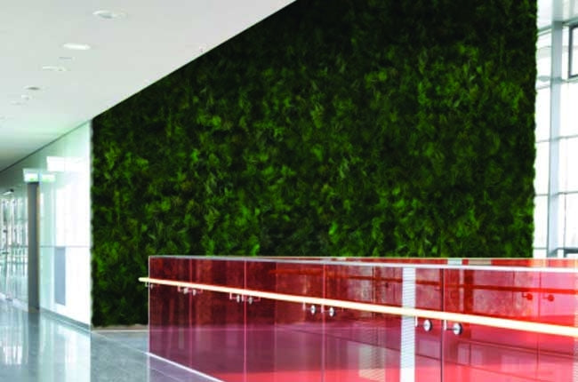 Preserved Moss Wall & Artificial Green wall, Wall Art Frames, Pets & Aquarium, Coir Products, Plant Pots, Dry Flower, Green wall, Foliage Wall, Flowers for every occasion, Landscape Designing, Dry Flower, Coir Products,Plant Pots, Flower Delivery in Dubai, UAE. Flower bouquets, Indoor & Outdoor Plants, succulents Dubai