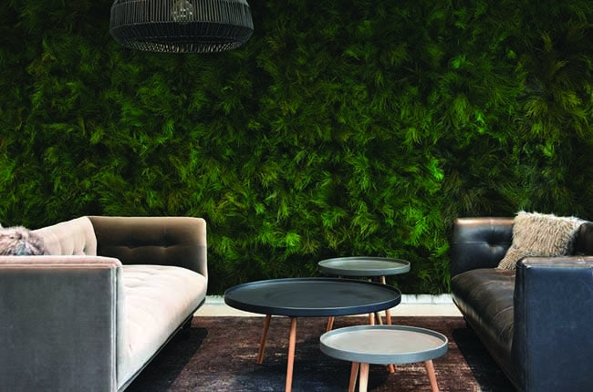 Preserved Moss Wall & Artificial Green wall, Wall Art Frames, Pets & Aquarium, Coir Products, Plant Pots, Dry Flower, Green wall, Foliage Wall, Flowers for every occasion, Landscape Designing, Dry Flower, Coir Products,Plant Pots, Flower Delivery in Dubai, UAE. Flower bouquets, Indoor & Outdoor Plants, succulents Dubai