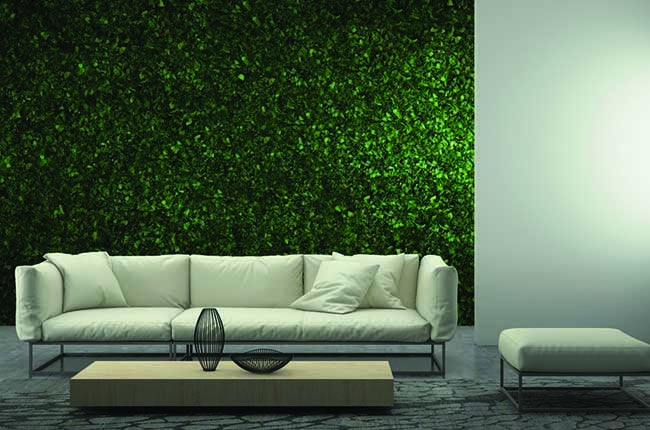 Preserved Moss Wall & Artificial Green wall, Wall Art Frames, Pets & Aquarium, Coir Products, Plant Pots, Dry Flower, Green wall, Foliage Wall, Flowers for every occasion, Landscape Designing, Dry Flower, Coir Products,Plant Pots, Flower Delivery in Dubai, UAE. Flower bouquets, Indoor & Outdoor Plants, succulents Dubai