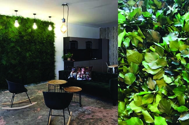 Preserved Moss Wall & Artificial Green wall, Wall Art Frames, Pets & Aquarium, Coir Products, Plant Pots, Dry Flower, Green wall, Foliage Wall, Flowers for every occasion, Landscape Designing, Dry Flower, Coir Products,Plant Pots, Flower Delivery in Dubai, UAE. Flower bouquets, Indoor & Outdoor Plants, succulents Dubai