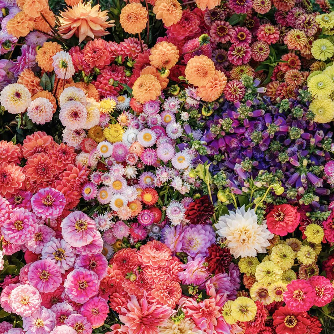 Fresh Flower Delivery in Dubai. Bouquet, Plants, Garden, Pets&Aquarium