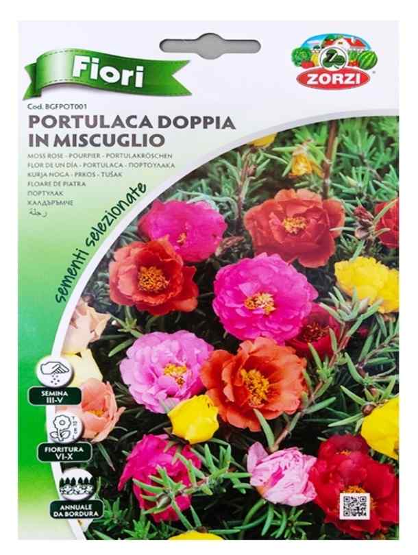 Fresh Flower Delivery in Dubai, UAE. Indoor & Outdoor Plants, Artificial Flowers, Plants & Trees, Succulent, Terrariums & Supplies, Gardening & Plantation, Moss wall, Green wall, Foliage Wall, Flowers for every occasion, Landscape Designing, Dry Flower, Coir Products, Plant Pots, Pets (Birds and Fishes) Aquarium, More.