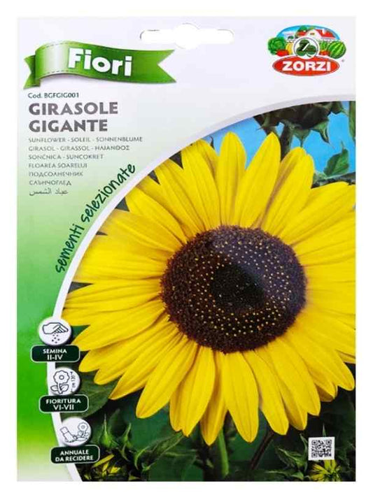 Fresh Flower Delivery in Dubai, UAE. Indoor & Outdoor Plants, Artificial Flowers, Plants & Trees, Succulent, Terrariums & Supplies, Gardening & Plantation, Moss wall, Green wall, Foliage Wall, Flowers for every occasion, Landscape Designing, Dry Flower, Coir Products, Plant Pots, Pets (Birds and Fishes) Aquarium, More.