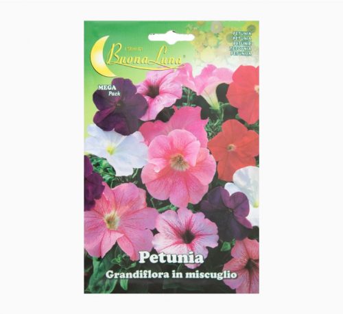Fresh Flower Delivery in Dubai, UAE. Indoor & Outdoor Plants, Artificial Flowers, Plants & Trees, Succulent, Terrariums & Supplies, Gardening & Plantation, Moss wall, Green wall, Foliage Wall, Flowers for every occasion, Landscape Designing, Dry Flower, Coir Products, Plant Pots, Pets (Birds and Fishes) Aquarium, More.