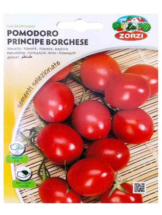 Tomato-Medium