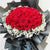Fresh Flower Delivery in Dubai, UAE. Indoor & Outdoor Plants, Artificial Flowers, Plants & Trees, Succulent, Terrariums & Supplies, Gardening & Plantation, Moss wall, Green wall, Foliage Wall, Flowers for every occasion, Landscape Designing, Dry Flower, Coir Products, Plant Pots, Pets (Birds and Fishes) Aquarium, More.