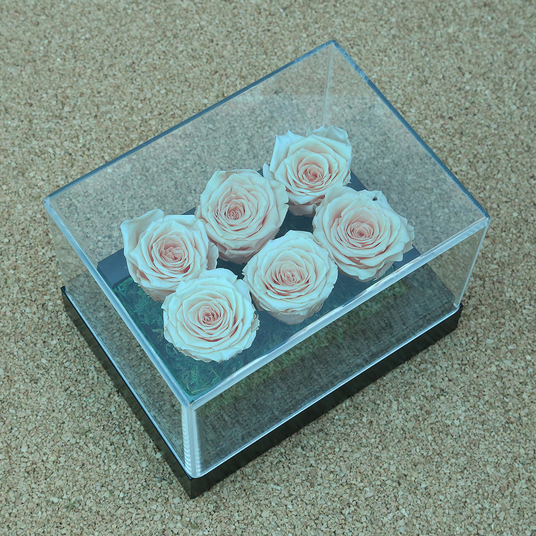 Pink Infinity Roses Delightful Light Pink infinity Roses | Order Valentine's Day Flowers ...