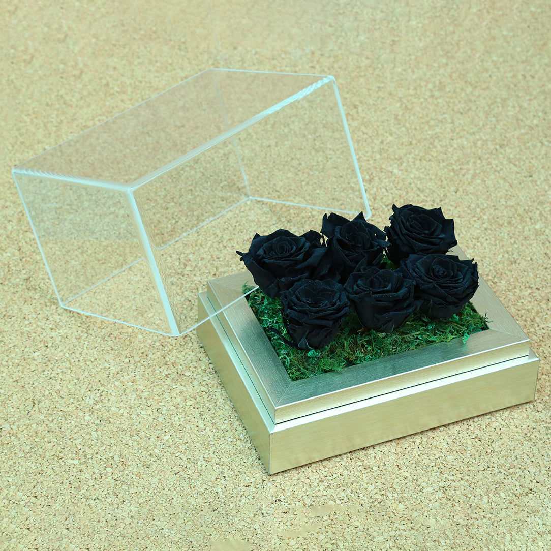 Long top lasting roses