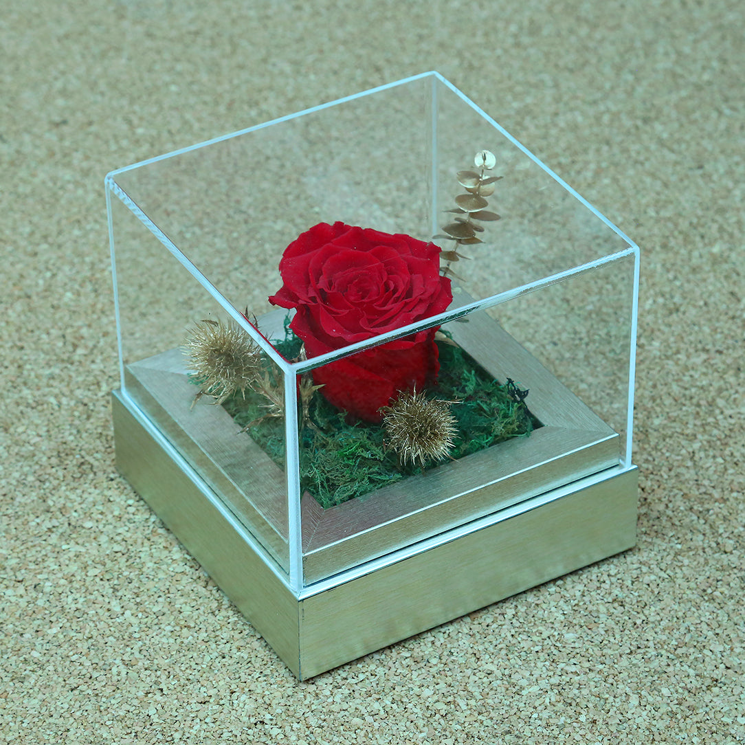 Valentine's-flowers, valentine-roses, valentine-gifts, valentine-online-flowers, flower-shop-for-buy-valentine-flowers, flower-shop-near-me, flower-shop-in-Dubai, flower-shop-in-Abu-Dhabi, valentine's-day-flowers-Dubai, Valentine-flowers-abu-dhabi, flower-company-dubai, florist-near-me, best-flower-delivery-dubai, valentine's-day-flowers-dubai, valentines-flowers-dubai