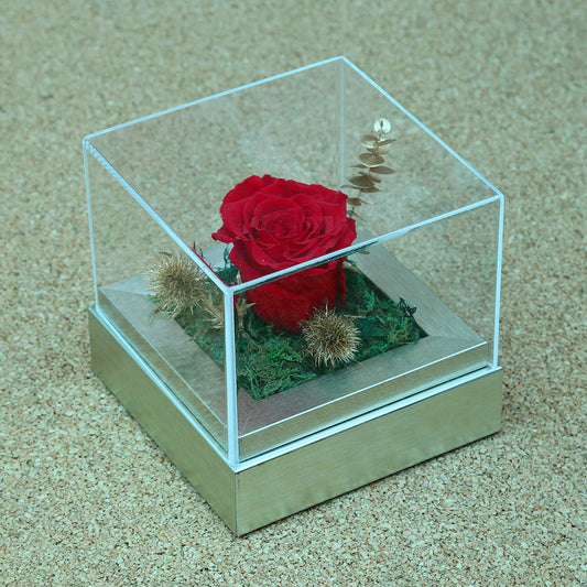 Valentine's-flowers, valentine-roses, valentine-gifts, valentine-online-flowers, flower-shop-for-buy-valentine-flowers, flower-shop-near-me, flower-shop-in-Dubai, flower-shop-in-Abu-Dhabi, valentine's-day-flowers-Dubai, Valentine-flowers-abu-dhabi, flower-company-dubai, florist-near-me, best-flower-delivery-dubai, valentine's-day-flowers-dubai, valentines-flowers-dubai