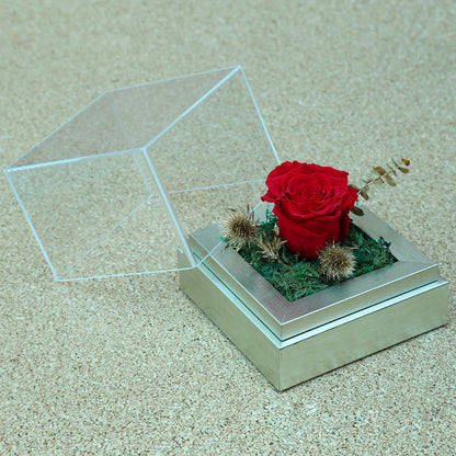 Valentine's-flowers, valentine-roses, valentine-gifts, valentine-online-flowers, flower-shop-for-buy-valentine-flowers, flower-shop-near-me, flower-shop-in-Dubai, flower-shop-in-Abu-Dhabi, valentine's-day-flowers-Dubai, Valentine-flowers-abu-dhabi, flower-company-dubai, florist-near-me, best-flower-delivery-dubai, valentine's-day-flowers-dubai, valentines-flowers-dubai
