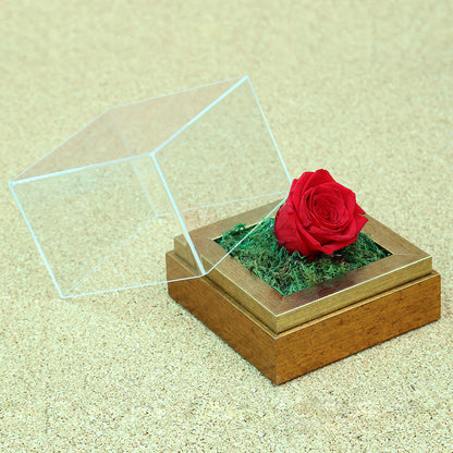 Valentine's-flowers, valentine-roses, valentine-gifts, valentine-online-flowers, flower-shop-for-buy-valentine-flowers, flower-shop-near-me, flower-shop-in-Dubai, flower-shop-in-Abu-Dhabi, valentine's-day-flowers-Dubai, Valentine-flowers-abu-dhabi, flower-company-dubai, florist-near-me, best-flower-delivery-dubai, valentine's-day-flowers-dubai, valentines-flowers-dubai