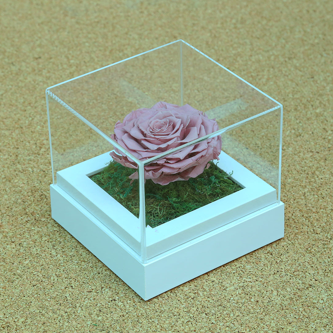 Valentine's-flowers, valentine-roses, valentine-gifts, valentine-online-flowers, flower-shop-for-buy-valentine-flowers, flower-shop-near-me, flower-shop-in-Dubai, flower-shop-in-Abu-Dhabi, valentine's-day-flowers-Dubai, Valentine-flowers-abu-dhabi, flower-company-dubai, florist-near-me, best-flower-delivery-dubai, valentine's-day-flowers-dubai, valentines-flowers-dubai