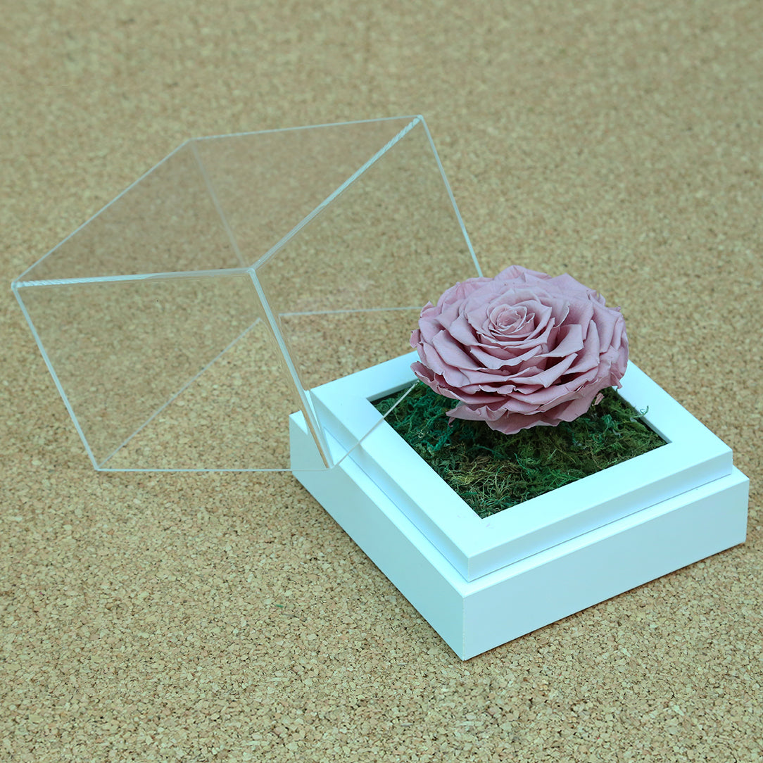 Valentine's-flowers, valentine-roses, valentine-gifts, valentine-online-flowers, flower-shop-for-buy-valentine-flowers, flower-shop-near-me, flower-shop-in-Dubai, flower-shop-in-Abu-Dhabi, valentine's-day-flowers-Dubai, Valentine-flowers-abu-dhabi, flower-company-dubai, florist-near-me, best-flower-delivery-dubai, valentine's-day-flowers-dubai, valentines-flowers-dubai