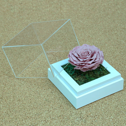 Valentine's-flowers, valentine-roses, valentine-gifts, valentine-online-flowers, flower-shop-for-buy-valentine-flowers, flower-shop-near-me, flower-shop-in-Dubai, flower-shop-in-Abu-Dhabi, valentine's-day-flowers-Dubai, Valentine-flowers-abu-dhabi, flower-company-dubai, florist-near-me, best-flower-delivery-dubai, valentine's-day-flowers-dubai, valentines-flowers-dubai