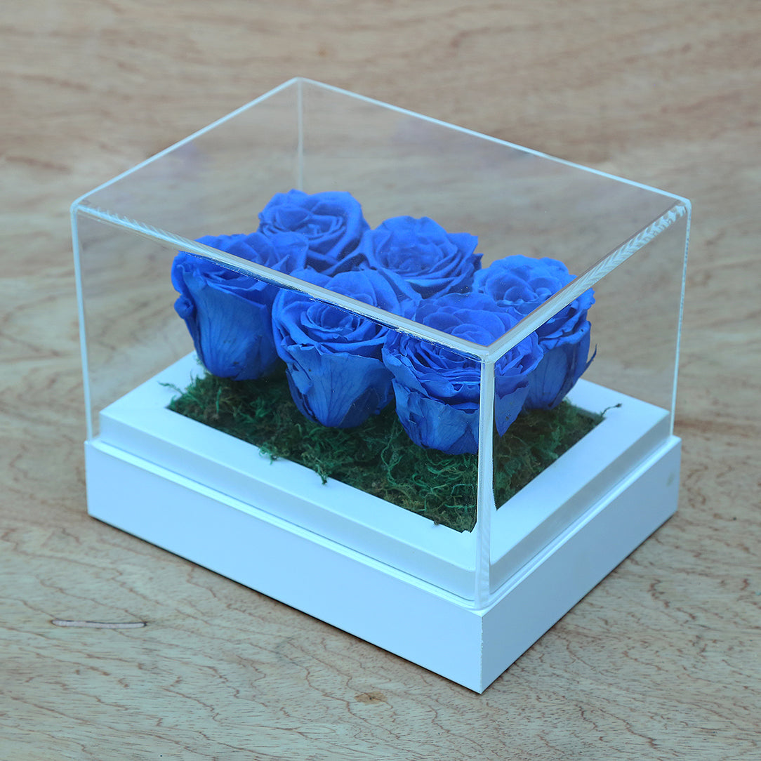 Valentine's-flowers, valentine-roses, valentine-gifts, valentine-online-flowers, flower-shop-for-buy-valentine-flowers, flower-shop-near-me, flower-shop-in-Dubai, flower-shop-in-Abu-Dhabi, valentine's-day-flowers-Dubai, Valentine-flowers-abu-dhabi, flower-company-dubai, florist-near-me, best-flower-delivery-dubai, valentine's-day-flowers-dubai, valentines-flowers-dubai