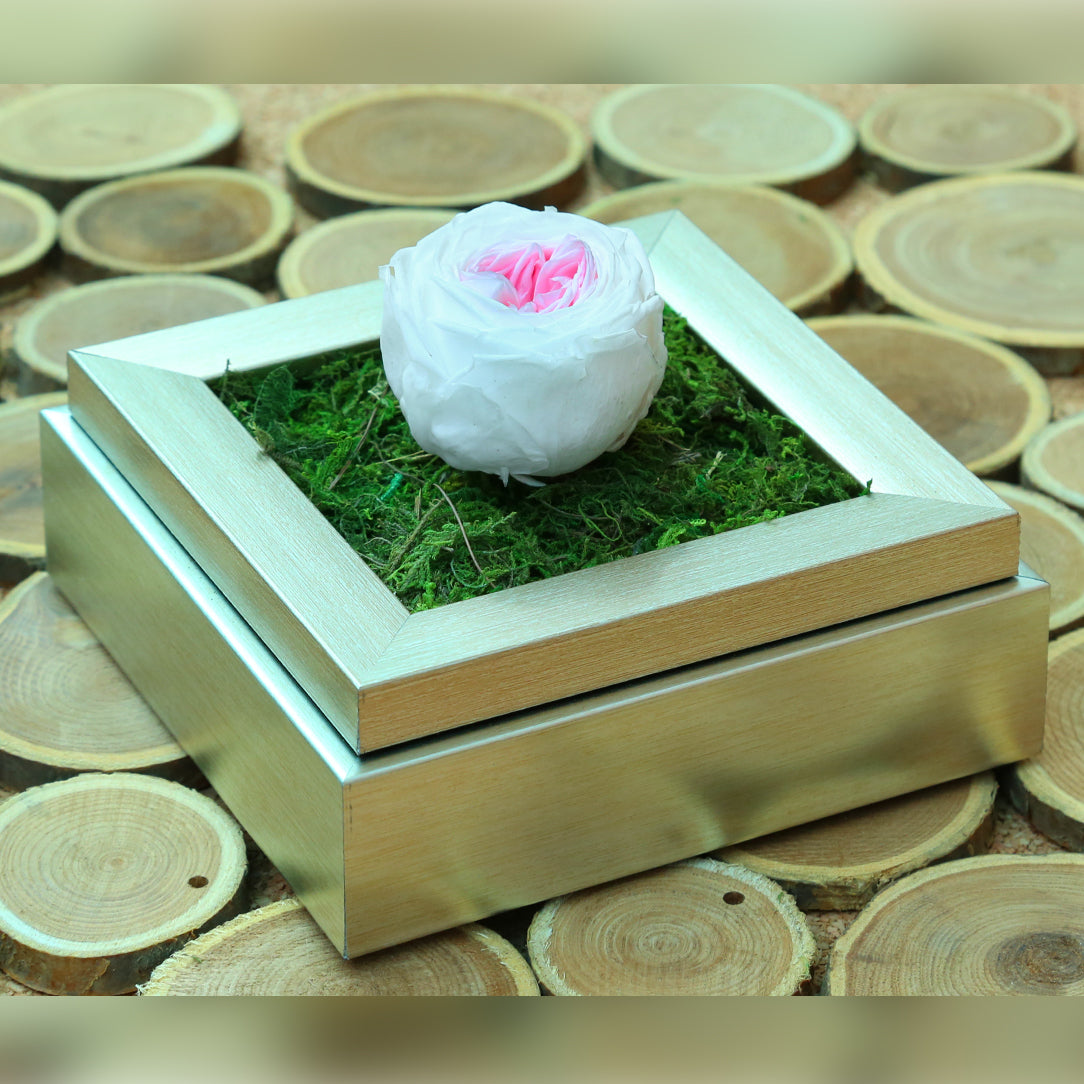 Valentine's-flowers, valentine-roses, valentine-gifts, valentine-online-flowers, flower-shop-for-buy-valentine-flowers, flower-shop-near-me, flower-shop-in-Dubai, flower-shop-in-Abu-Dhabi, valentine's-day-flowers-Dubai, Valentine-flowers-abu-dhabi, flower-company-dubai, florist-near-me, best-flower-delivery-dubai, valentine's-day-flowers-dubai, valentines-flowers-dubai