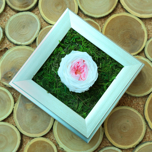 Valentine's-flowers, valentine-roses, valentine-gifts, valentine-online-flowers, flower-shop-for-buy-valentine-flowers, flower-shop-near-me, flower-shop-in-Dubai, flower-shop-in-Abu-Dhabi, valentine's-day-flowers-Dubai, Valentine-flowers-abu-dhabi, flower-company-dubai, florist-near-me, best-flower-delivery-dubai, valentine's-day-flowers-dubai, valentines-flowers-dubai