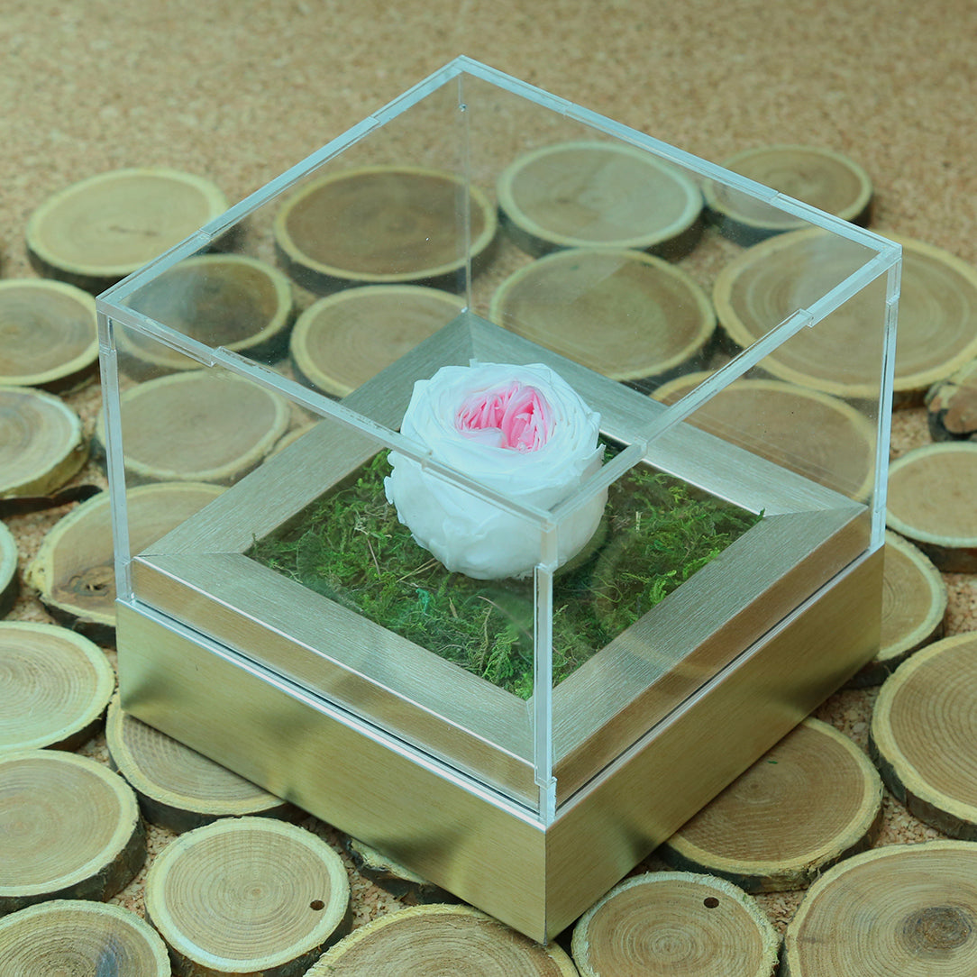 Valentine's-flowers, valentine-roses, valentine-gifts, valentine-online-flowers, flower-shop-for-buy-valentine-flowers, flower-shop-near-me, flower-shop-in-Dubai, flower-shop-in-Abu-Dhabi, valentine's-day-flowers-Dubai, Valentine-flowers-abu-dhabi, flower-company-dubai, florist-near-me, best-flower-delivery-dubai, valentine's-day-flowers-dubai, valentines-flowers-dubai