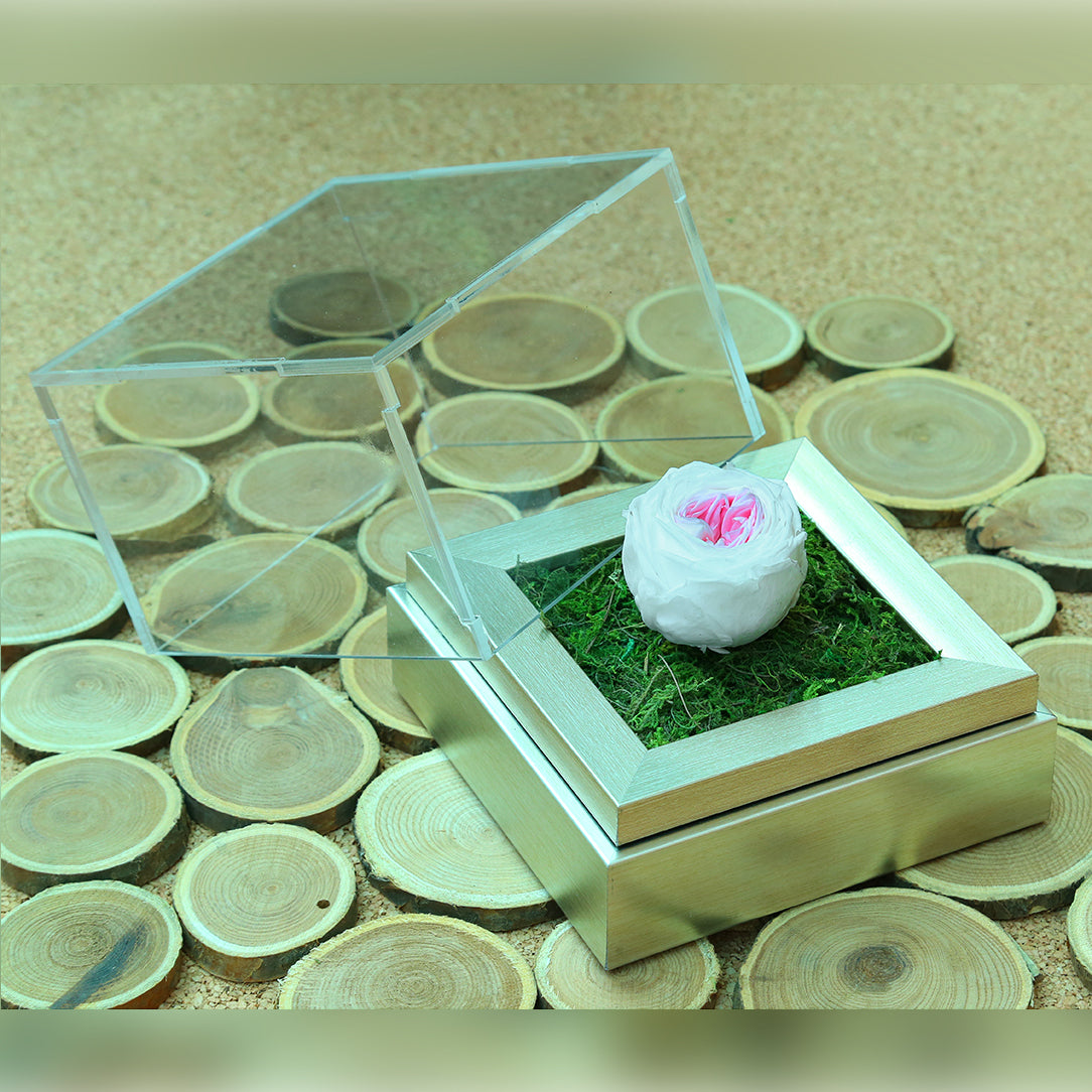 Valentine's-flowers, valentine-roses, valentine-gifts, valentine-online-flowers, flower-shop-for-buy-valentine-flowers, flower-shop-near-me, flower-shop-in-Dubai, flower-shop-in-Abu-Dhabi, valentine's-day-flowers-Dubai, Valentine-flowers-abu-dhabi, flower-company-dubai, florist-near-me, best-flower-delivery-dubai, valentine's-day-flowers-dubai, valentines-flowers-dubai
