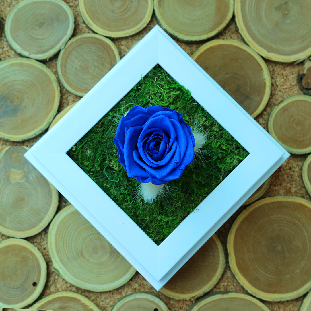 Valentine's-flowers, valentine-roses, valentine-gifts, valentine-online-flowers, flower-shop-for-buy-valentine-flowers, flower-shop-near-me, flower-shop-in-Dubai, flower-shop-in-Abu-Dhabi, valentine's-day-flowers-Dubai, Valentine-flowers-abu-dhabi, flower-company-dubai, florist-near-me, best-flower-delivery-dubai, valentine's-day-flowers-dubai, valentines-flowers-dubai