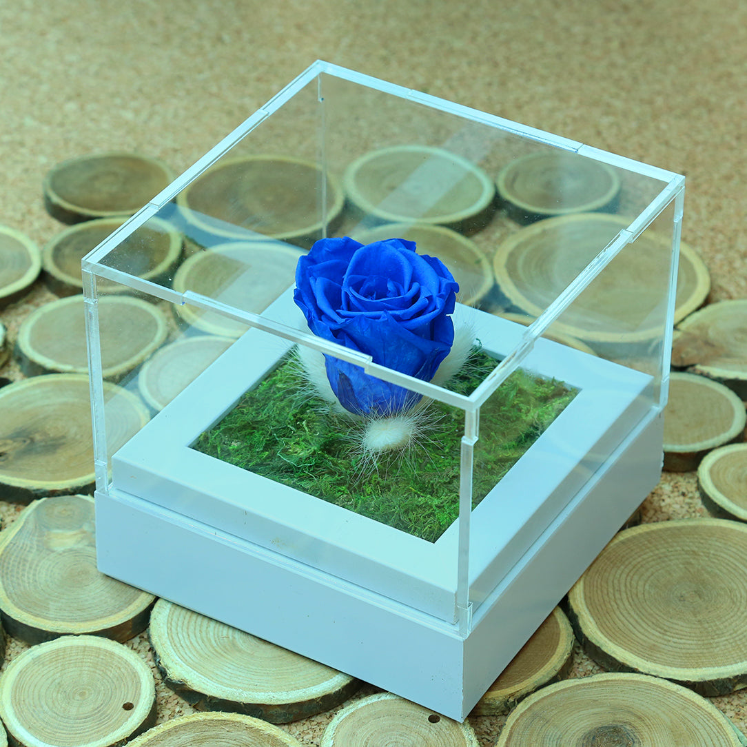 Valentine's-flowers, valentine-roses, valentine-gifts, valentine-online-flowers, flower-shop-for-buy-valentine-flowers, flower-shop-near-me, flower-shop-in-Dubai, flower-shop-in-Abu-Dhabi, valentine's-day-flowers-Dubai, Valentine-flowers-abu-dhabi, flower-company-dubai, florist-near-me, best-flower-delivery-dubai, valentine's-day-flowers-dubai, valentines-flowers-dubai