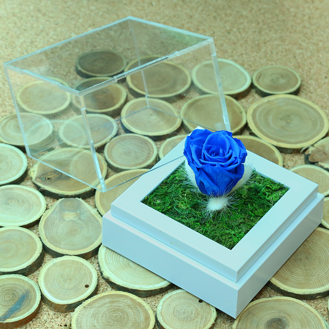 Valentine's-flowers, valentine-roses, valentine-gifts, valentine-online-flowers, flower-shop-for-buy-valentine-flowers, flower-shop-near-me, flower-shop-in-Dubai, flower-shop-in-Abu-Dhabi, valentine's-day-flowers-Dubai, Valentine-flowers-abu-dhabi, flower-company-dubai, florist-near-me, best-flower-delivery-dubai, valentine's-day-flowers-dubai, valentines-flowers-dubai