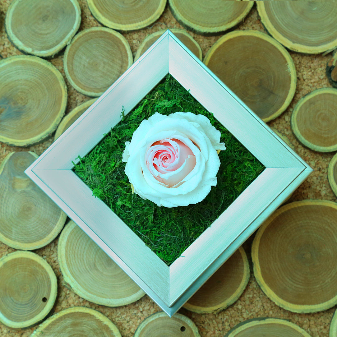 Valentine's-flowers, valentine-roses, valentine-gifts, valentine-online-flowers, flower-shop-for-buy-valentine-flowers, flower-shop-near-me, flower-shop-in-Dubai, flower-shop-in-Abu-Dhabi, valentine's-day-flowers-Dubai, Valentine-flowers-abu-dhabi, flower-company-dubai, florist-near-me, best-flower-delivery-dubai, valentine's-day-flowers-dubai, valentines-flowers-dubai