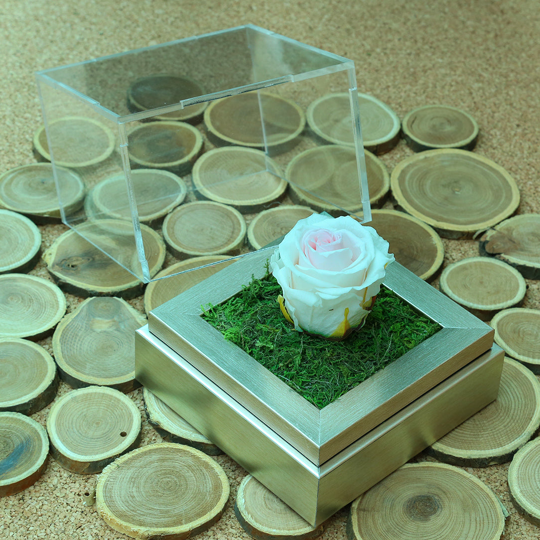 Forever store rose box