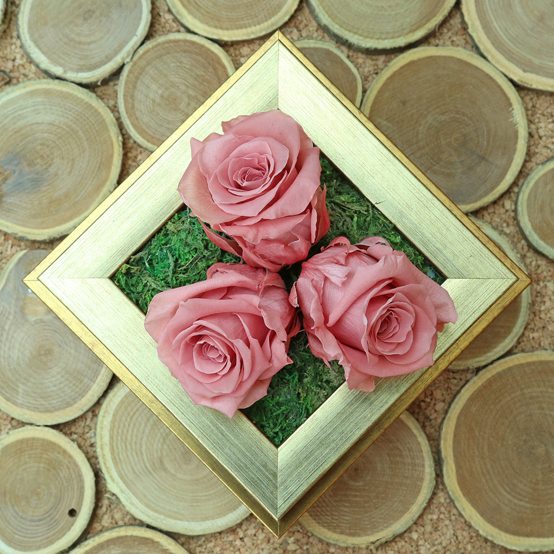 Preservrd Roses Preserved Roses – Green Art Factory